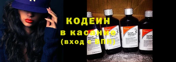 гашик Нея