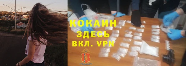 гашик Нея