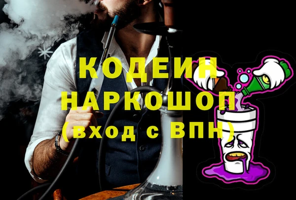 гашик Нея