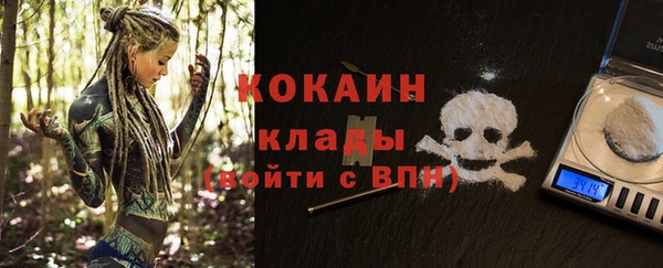 индика Навашино