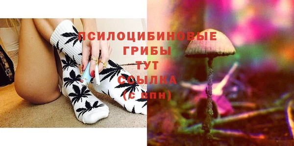 гашик Нея